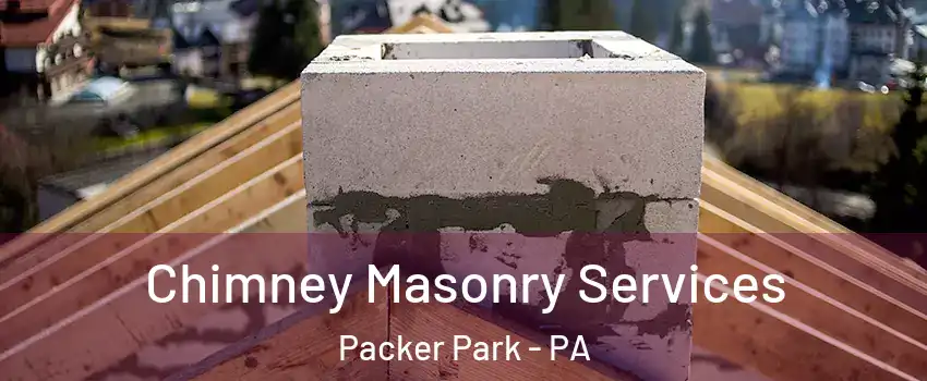 Chimney Masonry Services Packer Park - PA