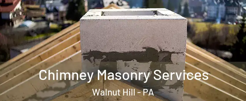 Chimney Masonry Services Walnut Hill - PA