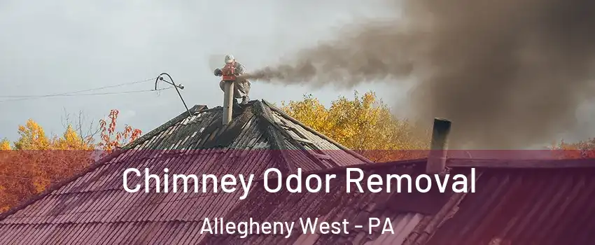 Chimney Odor Removal Allegheny West - PA