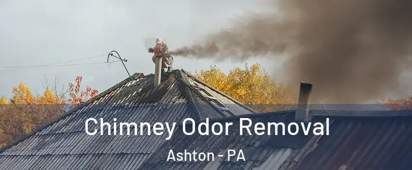 Chimney Odor Removal Ashton - PA