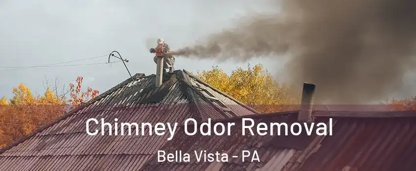 Chimney Odor Removal Bella Vista - PA