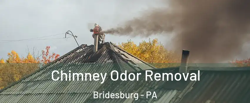 Chimney Odor Removal Bridesburg - PA