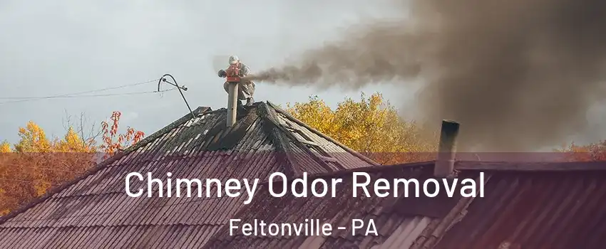 Chimney Odor Removal Feltonville - PA