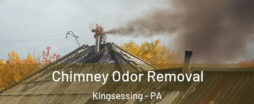 Chimney Odor Removal Kingsessing - PA