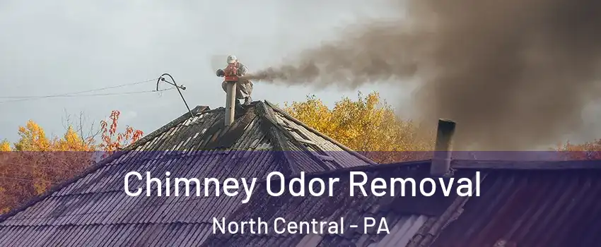 Chimney Odor Removal North Central - PA