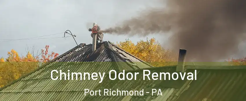 Chimney Odor Removal Port Richmond - PA