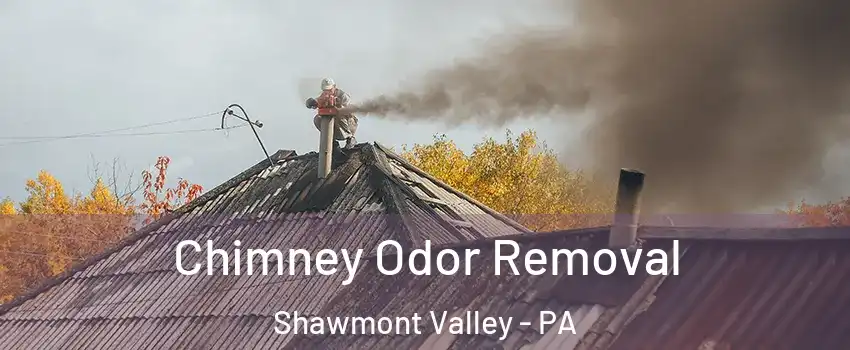 Chimney Odor Removal Shawmont Valley - PA