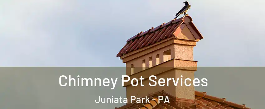 Chimney Pot Services Juniata Park - PA