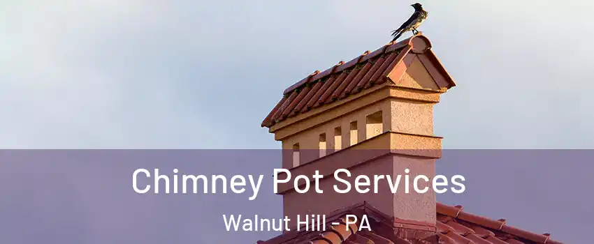 Chimney Pot Services Walnut Hill - PA