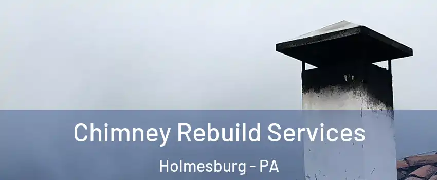 Chimney Rebuild Services Holmesburg - PA