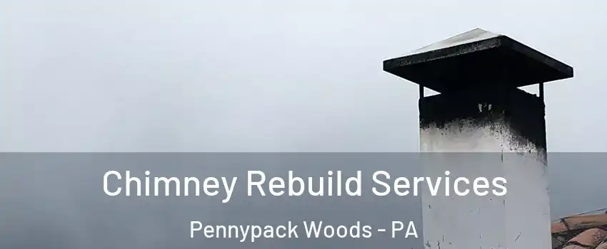 Chimney Rebuild Services Pennypack Woods - PA