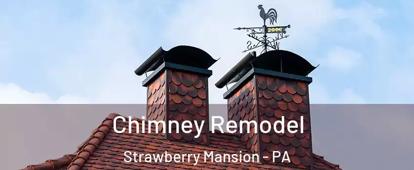 Chimney Remodel Strawberry Mansion - PA