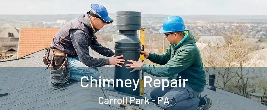 Chimney Repair Carroll Park - PA