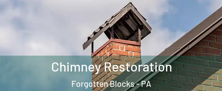 Chimney Restoration Forgotten Blocks - PA