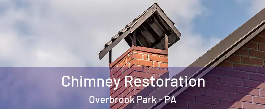 Chimney Restoration Overbrook Park - PA