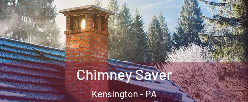 Chimney Saver Kensington - PA