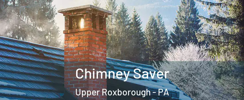 Chimney Saver Upper Roxborough - PA