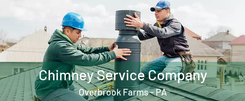 Chimney Service Company Overbrook Farms - PA