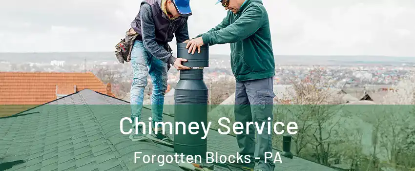 Chimney Service Forgotten Blocks - PA