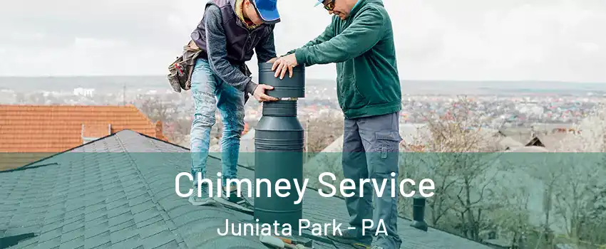 Chimney Service Juniata Park - PA