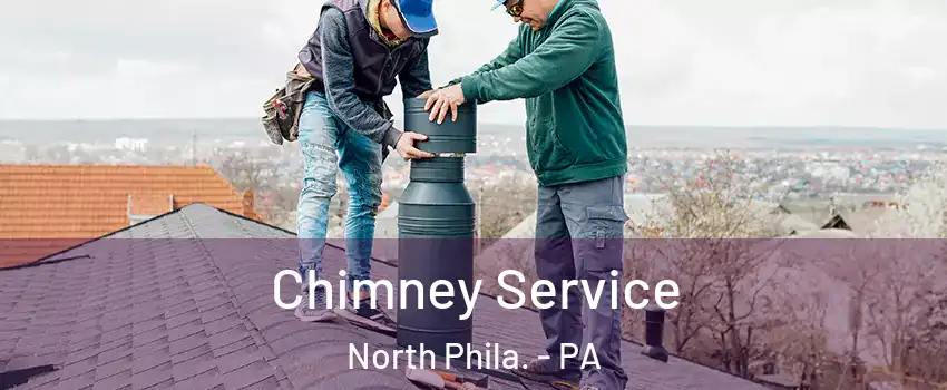 Chimney Service North Phila. - PA