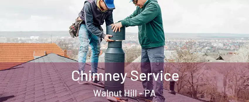 Chimney Service Walnut Hill - PA