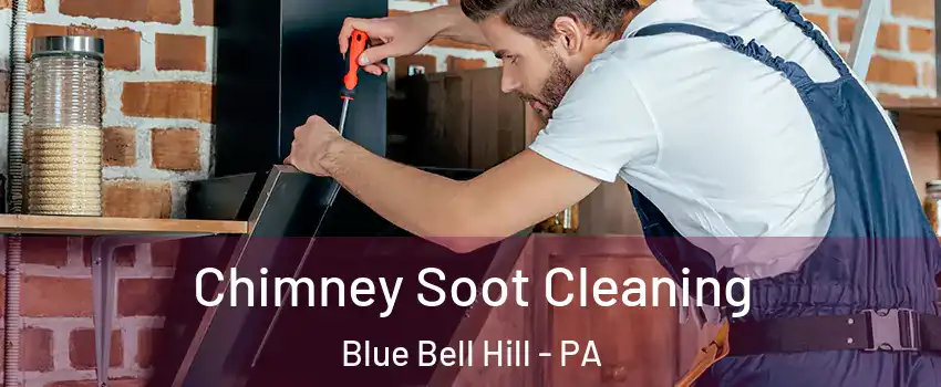 Chimney Soot Cleaning Blue Bell Hill - PA