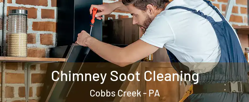 Chimney Soot Cleaning Cobbs Creek - PA