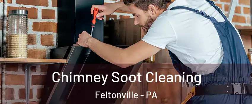 Chimney Soot Cleaning Feltonville - PA