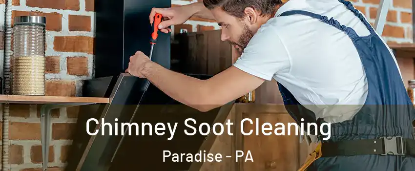 Chimney Soot Cleaning Paradise - PA