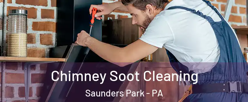 Chimney Soot Cleaning Saunders Park - PA