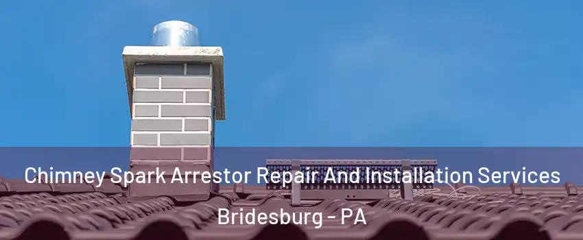 Chimney Spark Arrestor Repair And Installation Services Bridesburg - PA