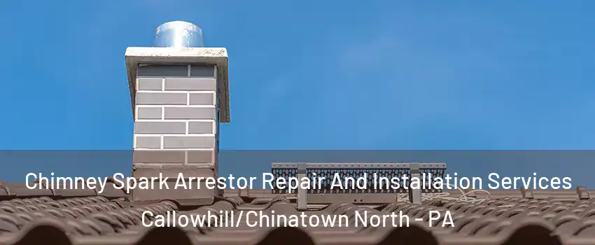 Chimney Spark Arrestor Repair And Installation Services Callowhill/Chinatown North - PA