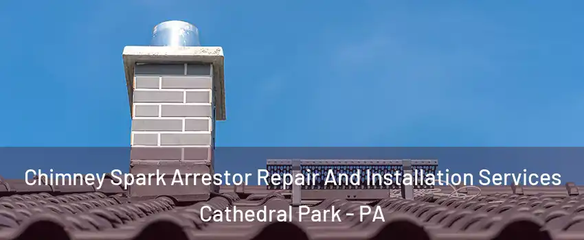 Chimney Spark Arrestor Repair And Installation Services Cathedral Park - PA