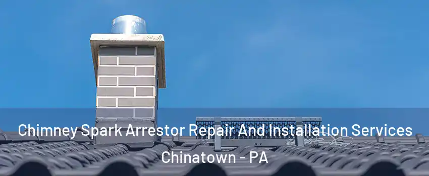 Chimney Spark Arrestor Repair And Installation Services Chinatown - PA