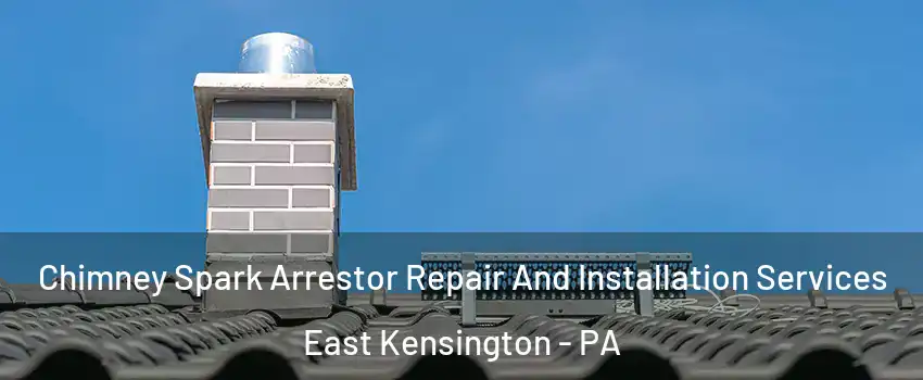 Chimney Spark Arrestor Repair And Installation Services East Kensington - PA