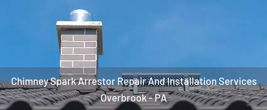 Chimney Spark Arrestor Repair And Installation Services Overbrook - PA