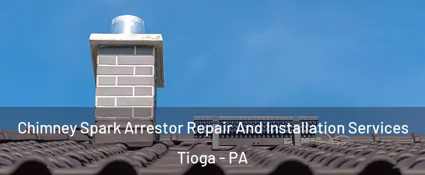 Chimney Spark Arrestor Repair And Installation Services Tioga - PA