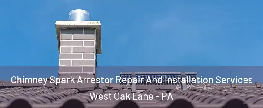 Chimney Spark Arrestor Repair And Installation Services West Oak Lane - PA