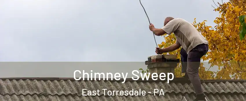 Chimney Sweep East Torresdale - PA