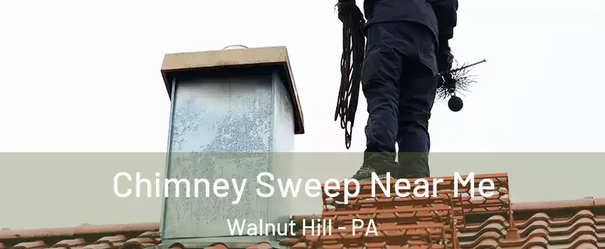 Chimney Sweep Near Me Walnut Hill - PA