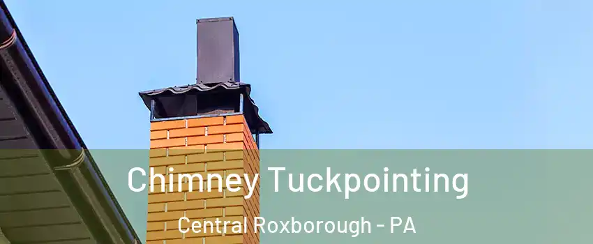 Chimney Tuckpointing Central Roxborough - PA