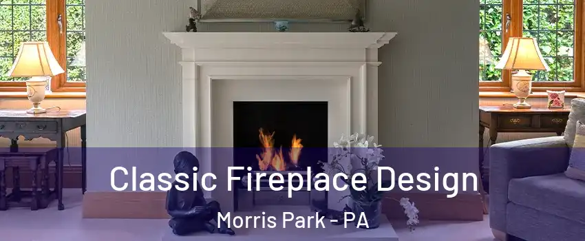 Classic Fireplace Design Morris Park - PA