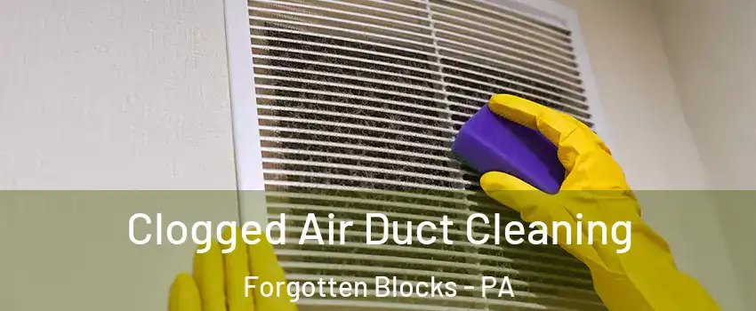 Clogged Air Duct Cleaning Forgotten Blocks - PA