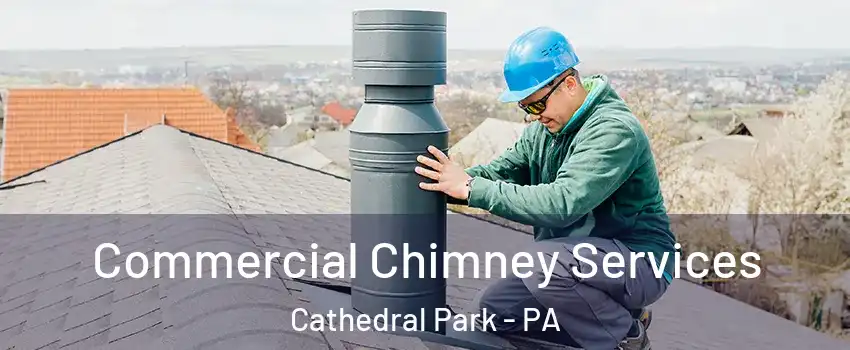 Commercial Chimney Services Cathedral Park - PA