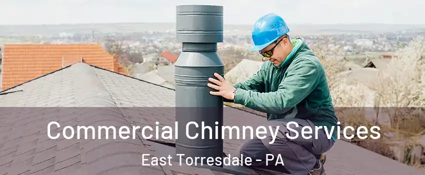 Commercial Chimney Services East Torresdale - PA