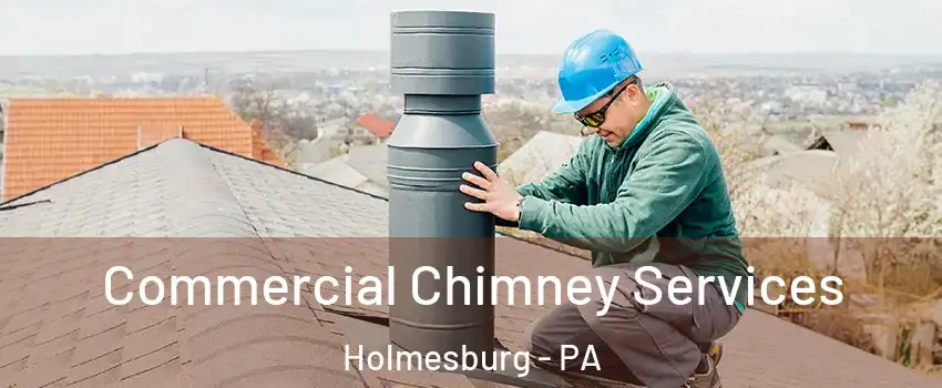 Commercial Chimney Services Holmesburg - PA