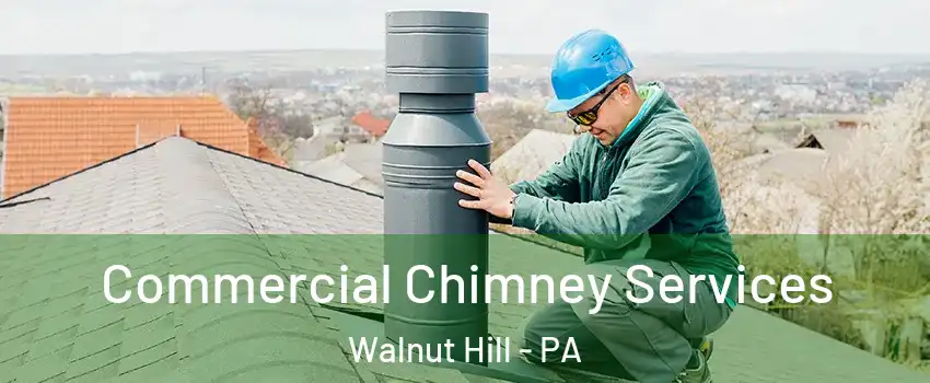 Commercial Chimney Services Walnut Hill - PA