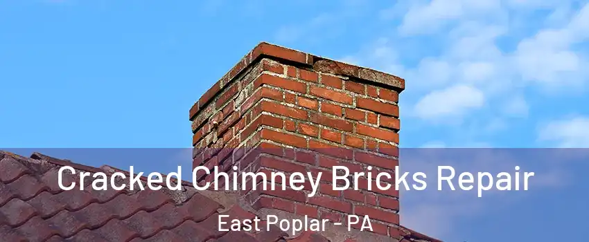 Cracked Chimney Bricks Repair East Poplar - PA