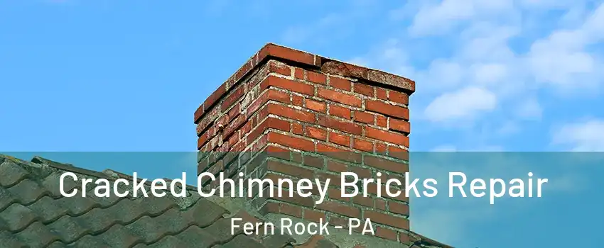 Cracked Chimney Bricks Repair Fern Rock - PA